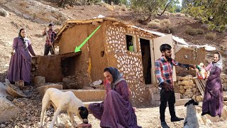 Traditional and cozy kennel A single mothers shelter for her puppy [upl. by Iffar]