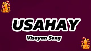 USAHAY  VISAYAN SONG  KARAOKE [upl. by Ecahc]