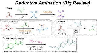 Reductive Amination amp Amide Synthesis IOC 40 [upl. by Aseretairam]