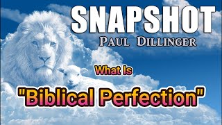 Snapshot  What Is quotBiblical Perfectionquot [upl. by Melisent]