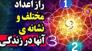 راز اعداد مختلف از 1 تا 9 راز اعداد تکرار شونده چیست؟ علم اعداد و نشانه ی آنها در زندگی [upl. by Amrac]