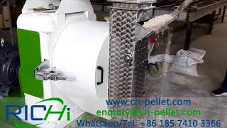 Cat Litter Pellet MillsMaking Paper Pellets for Cat Litter [upl. by Herminia785]