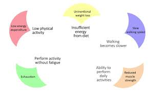 Scientific perspective on frailty [upl. by Leizar911]