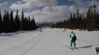 SkiCross  Lofsdalen Sweden 2017 [upl. by Brannon]