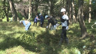 群馬県トラック協会 豊かな自然を守ろう 親子で森林整備20241020 [upl. by Shewchuk]