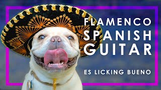 9 HOUR FLAMENCO SPANISH GUITAR  RELAXING ACOUSTIC GUITAR INSTRUMENTAL MUSIC FOR STUDYING [upl. by Nyrual]