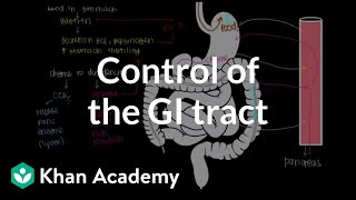 Control of the GI tract  Gastrointestinal system physiology  NCLEXRN  Khan Academy [upl. by Olen]