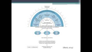 Leininger Theory  JMU [upl. by Ingalls]