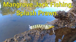 MANGROVE JACK FISHING BEST EVER SURFACE PRAWN [upl. by Chadburn]