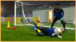 Professional Goalkeeper Training [upl. by Stutzman]