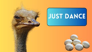 How Do Ostriches Reproduce [upl. by Haslett]