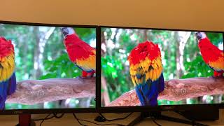 Aorus Ad27qd vs Monitor Msi optix g27c2 IPS Vs VA [upl. by Shandeigh]