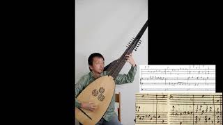 Cadenze finali No 9 No 10 Lute Baroque Music Theorbo [upl. by Irami]