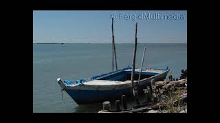 Una giornata a Gorino sul delta del Po [upl. by Coltson148]