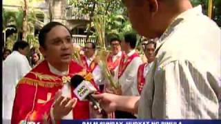 Peaceful Palm Sunday ushers in Holy Week [upl. by Nilra]