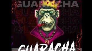 GUARACHA NUEVA 2024⚡🤖ALETEO 2024🍻 Type Beat ZAPATEO 2024 ZapateoGuarachaAleteo [upl. by Nauqahs467]