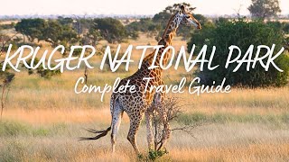 Complete Travel Guide Kruger National Park  a guide to explore the famous park in South Africa [upl. by Betthezel282]