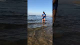 Surfcasting a mimizan dorade royale [upl. by Merth208]