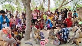 bandar ka khel jamane wala kya Khel karta hai Bandar abhi Kala mare [upl. by Nahsad]