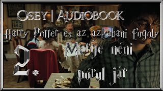 Harry Potter és az azkabani fogoly hangoskönyv remake  2 fejezet [upl. by Ivett]