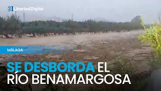 DANA  Se desborda el río Benamargosa en Málaga [upl. by Larentia174]