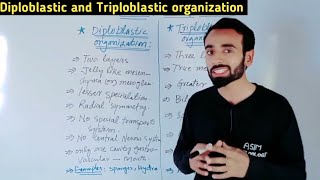 Diploblastic organization and Triploblastic organization  Difference  AsimZoologist [upl. by Shuma906]