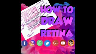 How to Draw Easily Retina Histology [upl. by Coy]