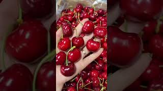 The Ultimate Cherry Fruit Guide Everything You Need to Know oddly satisfying shorts foryou🍎🥝 [upl. by Brigid]