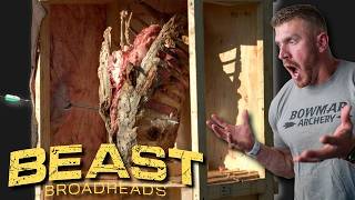 BEAST BROADHEAD REAL TEST on Hide Bone amp Organs in Mind Blowing SLOW MOTION [upl. by Reine]