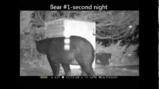 Watch bears try to get in a trash shed [upl. by Rundgren782]