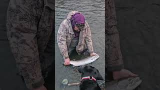 Alaska steelhead fishing [upl. by Baldwin]