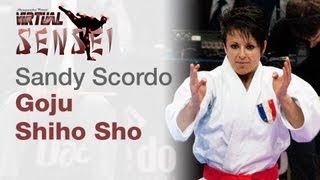 Sandy Scordo  Kata Goju ShihoSho  Final  21st WKF World Karate Championships Paris Bercy 2012 [upl. by Prudence831]