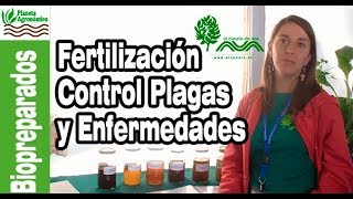 BIOPREPARADOS para fertilización control de PLAGAS y ENFERMEDADES 1 [upl. by Heddy]