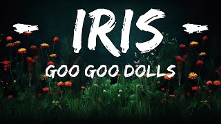 Goo Goo Dolls  Iris Lyrics  Lyrics Saregama [upl. by Eiggam34]