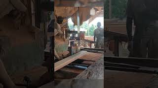 kayu keruing kapur sawmill [upl. by Hartman]