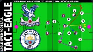 TACT EAGLE vs Manchester City cpfc city crystalpalace premierleague crymci mci [upl. by Rj]