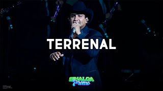 Terrenal ✨ Julion Alvarez ✨LETRALYRICS✨ [upl. by Hsihsa]