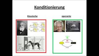 Klassische und operante Konditionierung erklärt [upl. by Fahy]