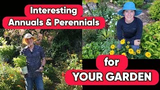 Annuals amp Perennials That Youll Love [upl. by Dnana]