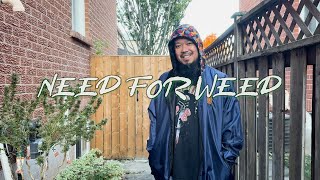 Need For Weed  Episode 12 [upl. by Korfonta]