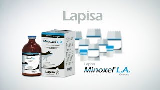 Minoxel® LA indicado para el tratamiento de la Enfermedad Respiratoria Porcina [upl. by Coyle]