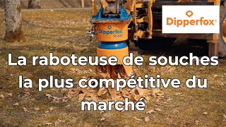 La raboteuse de souches la plus compétitive du marché  MAXIMA SARL [upl. by Aniar]