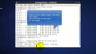 gzip  Compress a directory in Linux  TechwithGuru [upl. by Halimak]