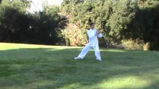 Yang Style Tai Chi 88 Form [upl. by Jodee]