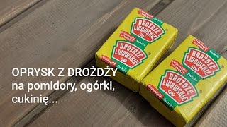 OPRYSK Z DROŻDŻY na pomidory ogórki cukinię [upl. by Xyla]