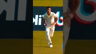 Mitchell starc in gali cricket [upl. by Budding]