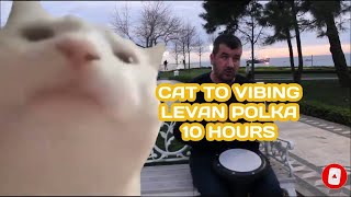 10 Hours  Cat Vibing To Ievan Polkka Official Video HD Cat Vibing To Music  Cat Vibing Meme [upl. by Fiore]