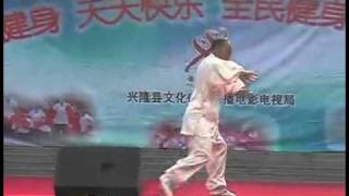 Yao Fuchun style Taijiquan [upl. by Ettenay]