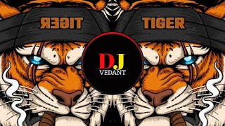 Riba Riba  Private Vol Mix 2021 Freaky EDM Mix  Dj Samio Remix  DJVedantoffice [upl. by Racklin744]