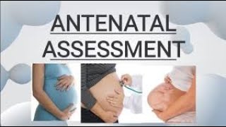 ANTENATAL ASSESSMENT  FULL DETAILS [upl. by Barrus]